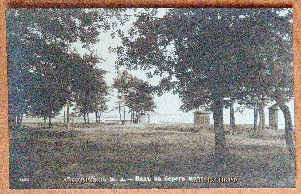 Открытка старинная "Лахта. Прим. ж. д. - Вид на берег моря". Фотопечать А.И. Центер. Нач. ХХ века. Россия. №5598